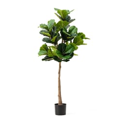 Glitzhome Green Plastic 61 in. H Fiddle Leaf Fig Artificial Potted Plant