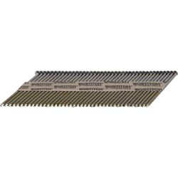 Bostitch 3 in. L X 15 Ga. Angled Strip Coated Framing Nails 33 deg 2,500 pk