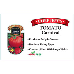 Chef Jeff Red Premium Carnival Tomato Vegetable Plant