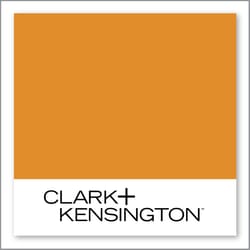 Clark+Kensington Pumpkin Puree 14C-7