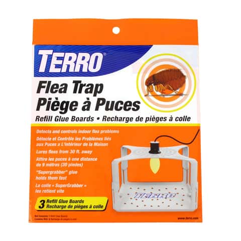 TERRO Flea Trap 3 pk - Ace Hardware