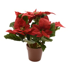 Decoris Red Potted Poinsettia 11 in.