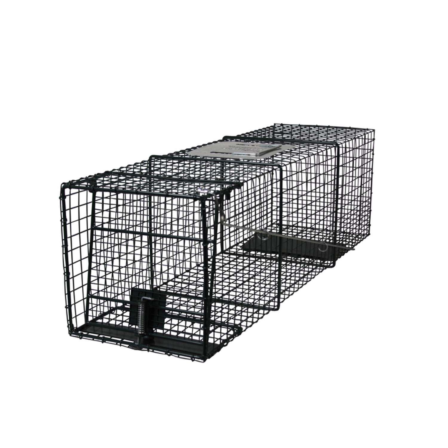 Animal Traps - Ace Hardware