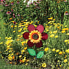 image-3