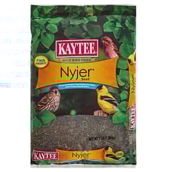 Kaytee Nyjer Wild Bird Food 3 lb