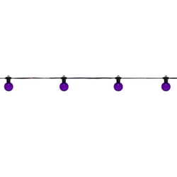 Celebrations Purple 25 ct LED G40 Halloween String Lights