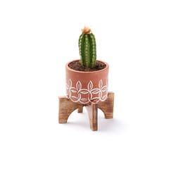 Matr Boomie 4.5 in. H X 3 in. D Terracotta Planter with Stand Multicolored