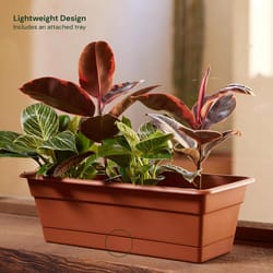 Bloem Dura Cotta 5.75 in. H X 18 in. W X 7.5 in. D Plastic Window Box Terra Cotta