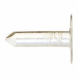 Ace 1-3/4 in. Roofing Galvanized Steel Nail Round Head 1 lb