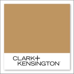 Clark+Kensington Golden Birch 20A-4