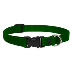 Lupine Pet Basic Solids Green Green Nylon Dog Adjustable Collar