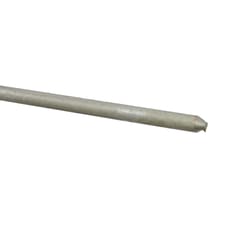 Erico 5/8 in. Steel Ground Rod 1 pk