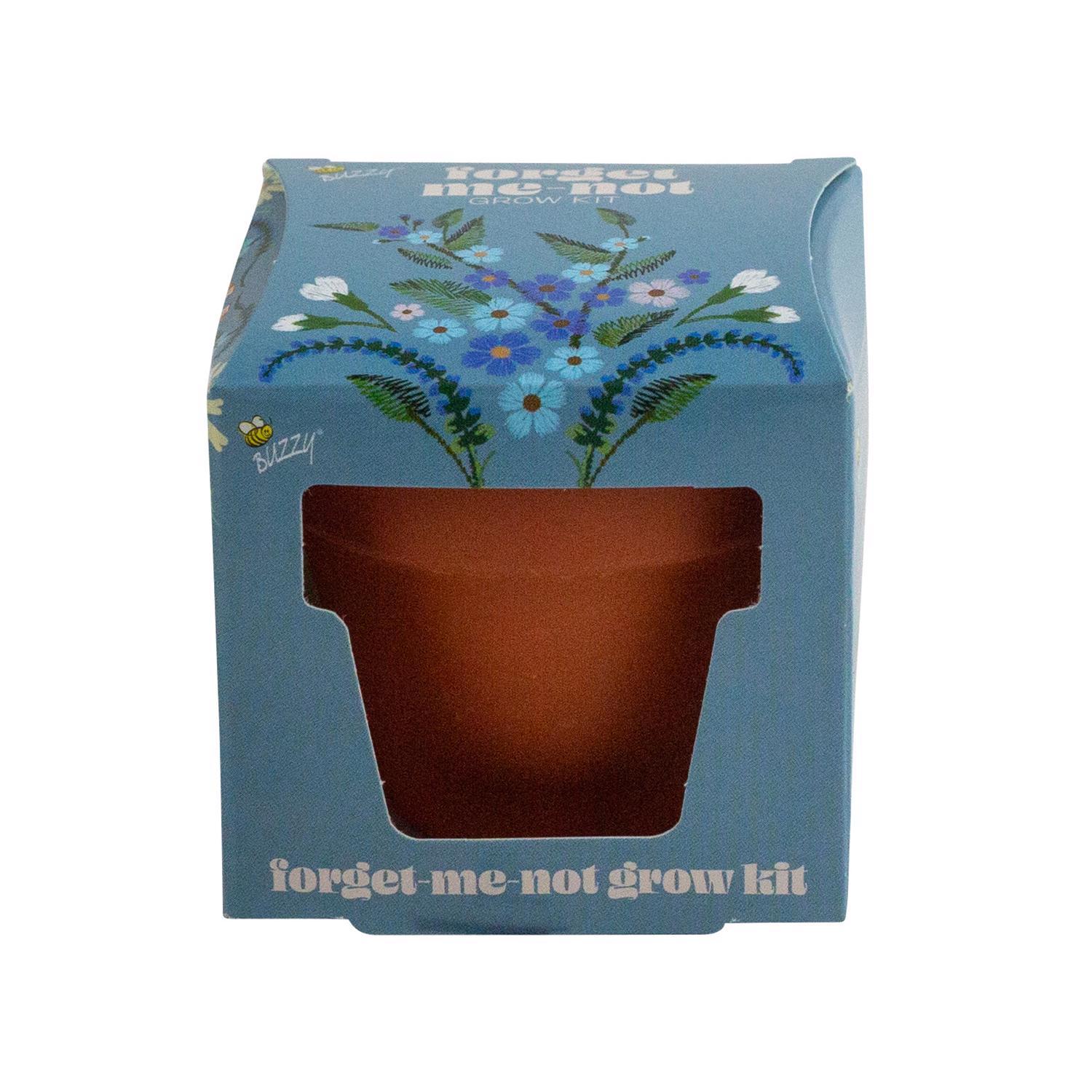 Buzzy Forget Me Not Mini Grow Pot 1 pk Mfr# 97245 - Ace Hardware