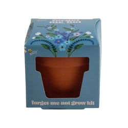 Buzzy Forget Me Not Mini Grow Pot 1 pk