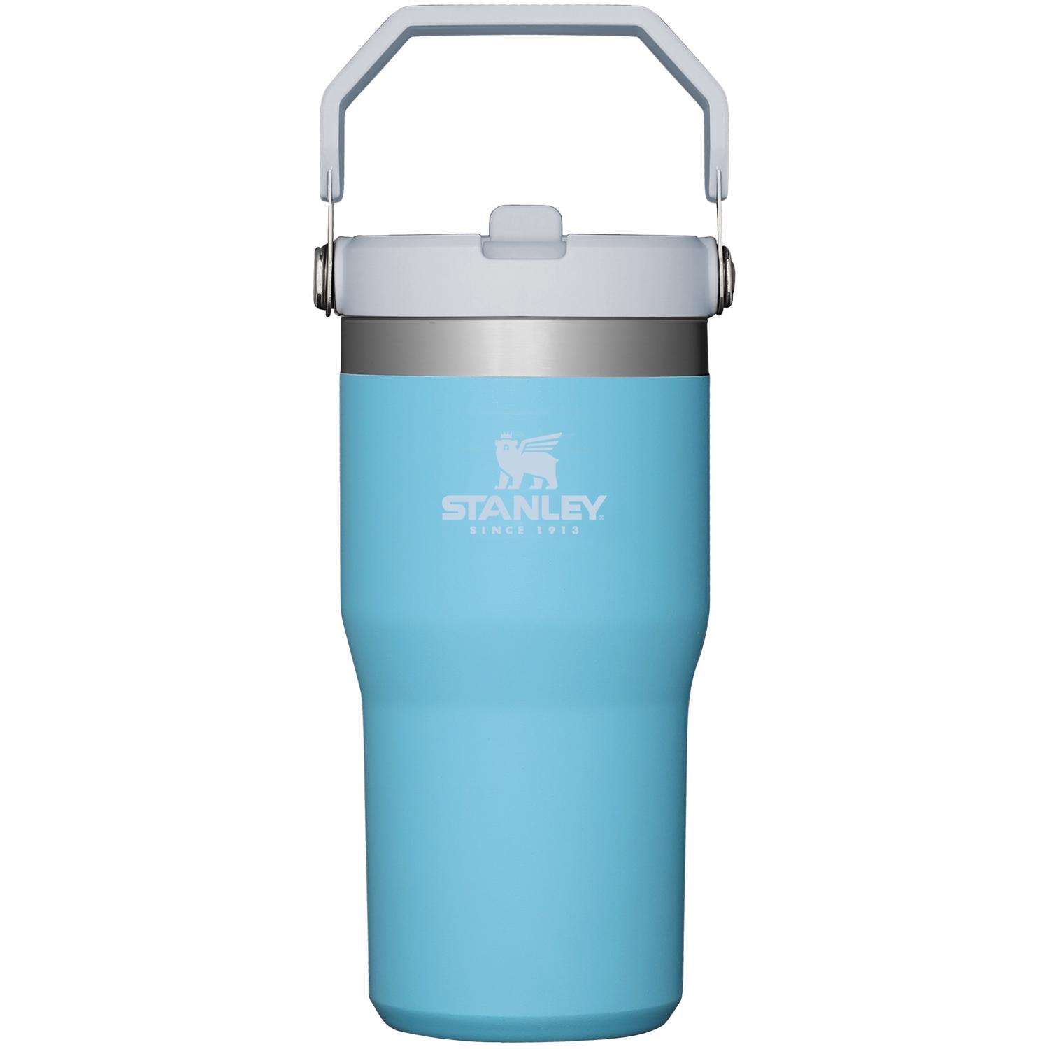 Stanley Classic 20 oz Iceflow Pool BPA Free Insulated Straw Tumbler ...