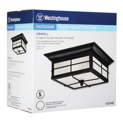 Westinghouse Switch Incandescent Matte Outdoor Light Fixture Hardwired