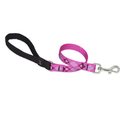 LupinePet Original Designs Multicolor Puppy Love Nylon Dog Training Leash