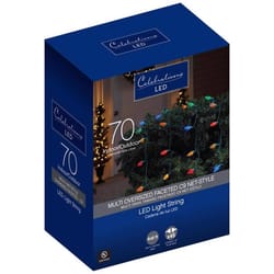 Celebrations Blue LED C9 Multicolored 70 ct Net Christmas Lights