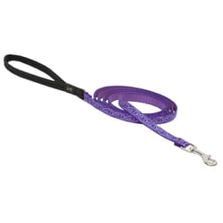 Lupine Pet Original Designs Multicolor Jelly Roll Nylon Dog Leash