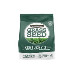 Pennington Kentucky 31 Tall Fescue Grass Sun or Shade Grass Seed 3 lb