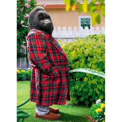 Avanti Seasonal Gorilla Garden Hose Father's Day Card Paper 2 pc