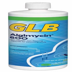 GLB Algimycin 600 Liquid Algaecide 32 oz