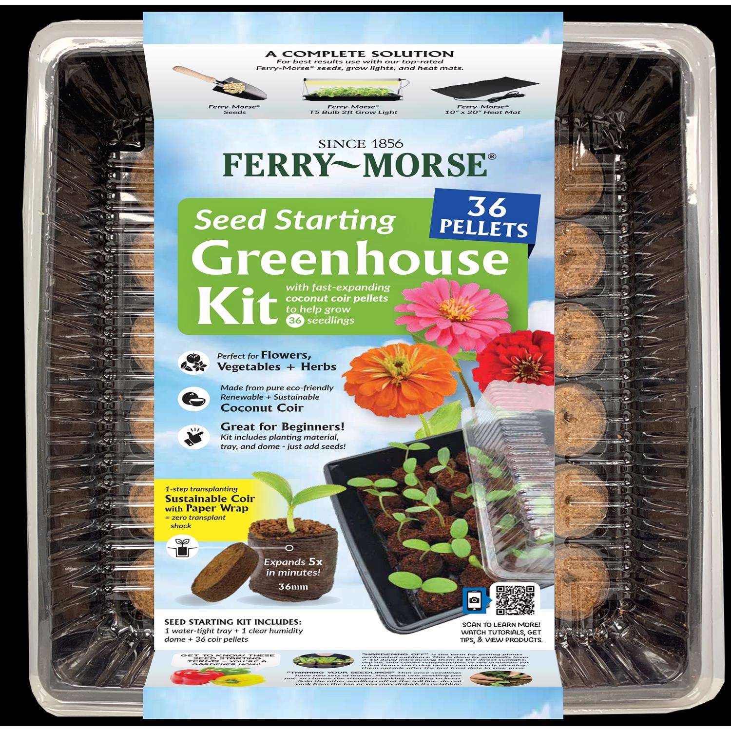 FerryMorse 36 Cells 11 in. W X 11 in. L Seed Starting Kit 1 pk Ace
