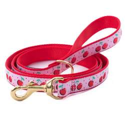 Up Country Pink Cherries Nylon Dog Leash