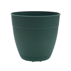 Bloem Dayton 7.5 in. H X 8 in. D Plastic Planter Turtle Green