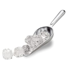 Tafa International Silver Stainless Steel Scoop