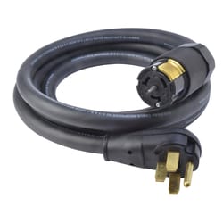Coleman Cable 6/3, 8/1 SEOW 125 V 10 ft. L Generator Cord