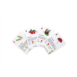 Kikkerland Foragers Playing Cards Multicolored