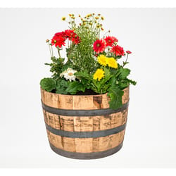 Real Wood Products 17.5 in. H X 26 in. W X 26 in. D Oak Whiskey Barrel Planter Brown