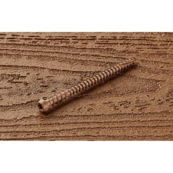 Starborn Cap-Tor No. 10 X 2-3/4 in. L Star Undercut Head Composite Deck Screws 350 pk