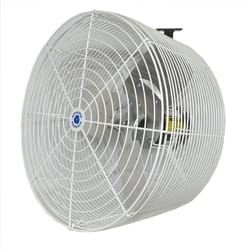 Schaefer 23 in. H X 20 in. D 1 speed Wall Mount Fan