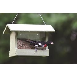 Birds Choice Wild Bird 2 qt Plastic Hopper Bird Feeder