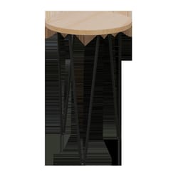 Panacea 16 in. H Black Steel/Wood Plant Stand