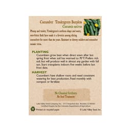 Lake Valley Seed Cucumber Seeds