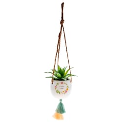 Karma 2 in. H X 3 in. W X 2 in. L Multicolored Ceramic Hanging Succulent Pot