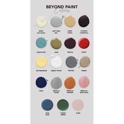 Beyond Paint Matte Forest Green Water-Based Paint Exterior and Interior 1 pt