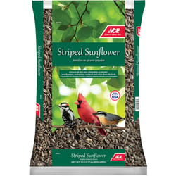 Ace Songbird Striped Sunflower Seed Wild Bird Food 5 lb