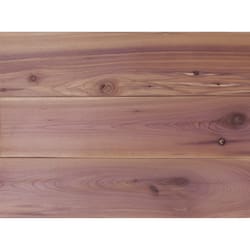 Global Product 0.25 in. H X 3.75 in. W X 48 in. L Unfinished Aromatic Cedar Wall Planking