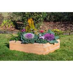 Real Wood Products 7 in. H X 36 in. W X 36 in. D Cedar Western Raised Garden Bed Tan
