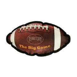 Territory Multicolored Polyester Big Game Football Squeak Dog Toy All Pet Sizes 1