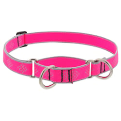 LupinePet HighLights Pink Diamond Nylon Dog Martingale