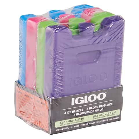 Igloo Ice Pack Assorted 4 pk - Ace Hardware