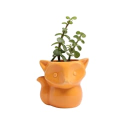 Chive Animal Planter 3.25 in. D Ceramic Fox Succulent Pot Orange