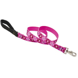 LupinePet Original Designs Multicolor Puppy Love Nylon Dog Leash