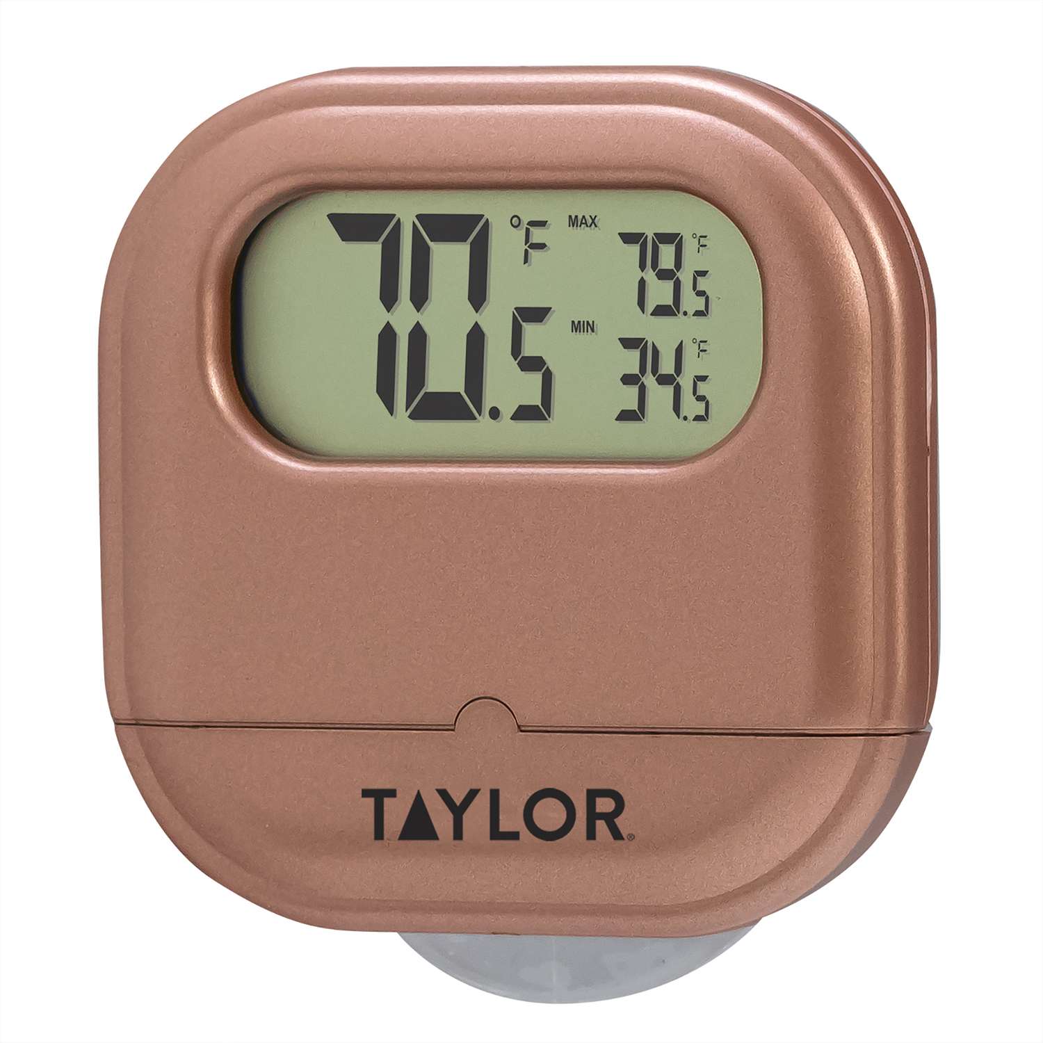 Taylor Digital Thermometer Plastic Assorted Ace Hardware
