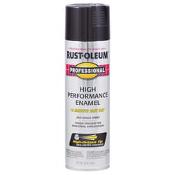 Rust-Oleum Professional Gloss Black Spray Paint 15 oz